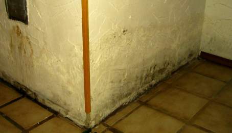 mursalpeter/salpeter udblomstring - kapillær opstigende fugt og vand i væg?