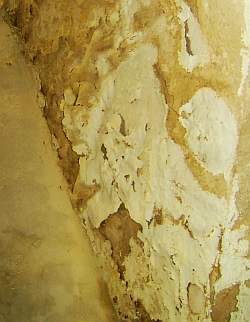 Mursalpeter - skader på puds, murværk og maleri på fugtig kælder væg - kapillær opstigende fugt?