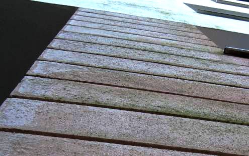 WDVS-Fassadendämmung vereist mit Grünalgenbefall/Algenbefall/Algen, Frost und Reif