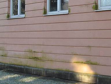 WDVS-Fassadendämmung bereifter Kunstharzputz, vereist mit Frost und Grünalgen