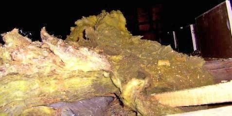 Mouldy mineral wool in an attic