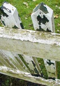 Synthetic resin coating on weathered wooden fence - cracked very fast