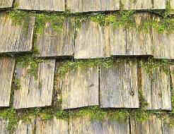 Vermooste Holzschindeln auf Dach