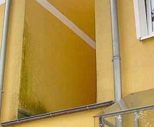 Wärmedmmverbundfassade mit Algenbefall / Grünalgen Green Algue & EWI EIFS - Exterior Insulation Finish System ETICS - External Thermal Insulation Composite Systems / External Wall Insulation