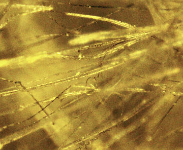 Detailfotografie verpilzte / schimmelpilzbefallene / pilzbefallene Mineralfaser-Wärmedämung (Mineralwolleplatten) in Großaufnahme