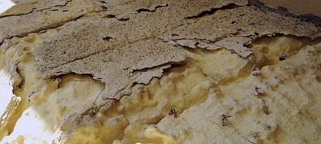 Schäden am spröden Zementputz trotz metallischer Putzträger