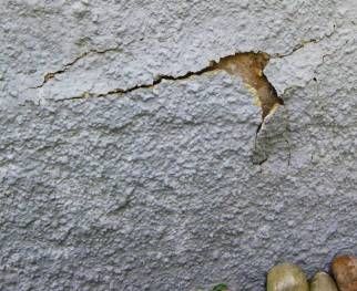 Nitratbelastet - Mauersalpeter: Abgeplatzte Putzschwarte auf versalztem Untergrund / Putzgrund / Mauerwerk / Sockelmauerwerk - durch aufsteigende Feuchte?