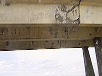 Ponte in cemento armato, strutture e armature corrose 30