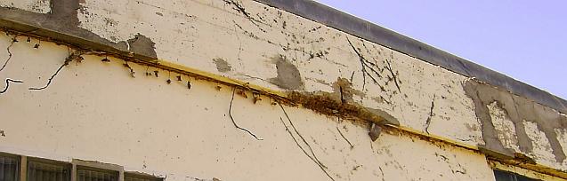 Beton-Schulbau 60er Jahre mit Betonschäden nach Betonsanierung