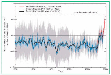 Hockeystick-Kurve - Mann's Temperaturkurve: Datenmanipulation Klimawandel Klimaschwindel Klimaschutz
