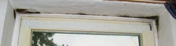 Schimmelpilz-Befall über dem Isolierfenster
