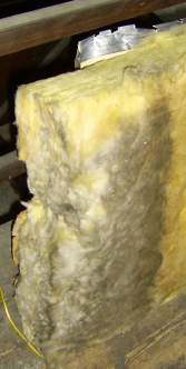 Mineral wool full of mold