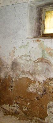 Feuchte Wand / Nasses salzgeschädigtes Mauerwerk, Salzausblühung, Schimmelpilz, Pilzbefall