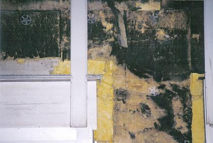 Fassadendämmung: Nasse, verpilzte, schwarze, schimmelpilzbefallene - aspergillus niger / penicillium / stachybotrys atra / chartarum - pilzdurchwachsene Wärmedämung (Glasfaserwärmedämmung) in der Fassade