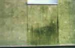 El ataque de algas sobre la protección / aislamiento térmica de yeso en la fachada