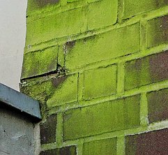 Kunststoff-Riemchen-Klinker WDVS Dämmfassade, Veralgung, Verschmutzun Green Algue & Rotten Damp Wet ETICS - External Thermal Insulation Composite Systems / External Wall Insulationg