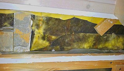 Mineralwolle mit Schwarzschimmelpilz befallen und wegen Taupunktunterschreitung aufgenäßt hinter intelligenter Dampfbremse (gelb) im Bauträger-Neubau-Haus