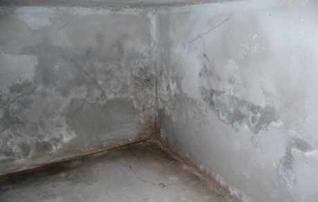 Mauersalpeter? Feuchter Kellerputz aus Traßmörtel, nasse Kellerwand - durch aufsteigende Feuchte?