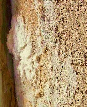 Mauersalpeter Schadsalz Nitrat blüht aus und kristallisiert / Salzausblüfung 
