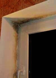 Плесень в ванной 1: облицованные плиткой стены не способны принимать и затем снова отдавать, кратковременно появляющуюся, повышенную концентрацию воздушной влажности. Это является причиной повышенной влажности на остальных