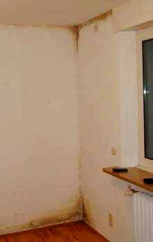 Плесень на переходах стена-пол и стена-потолок – абсолютно герметичная, паронепропускаемая конструкция немецких окон Isofenster; неправильный обмен