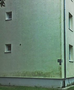 Mehrfamilienwohnhaus vergrünte WDVS-Fassade, Veralgung, Verschmutzung ETICS Exterior Thermal Insulation Composite Systems / EIFS External Insulation Finishing System EWI External Wall Insulation