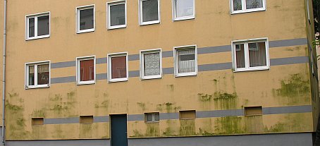 Grünalgen auf WDVS-Fassade, Verschmutzung Green Algue & Rotten Damp Wet ETICS - External Thermal Insulation Composite Systems / External Wall Insulation