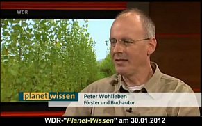 Förster Peter Wohlleben zur Biowirksamkeit und Klimaschutz bei Pellets / Pelletsheizung